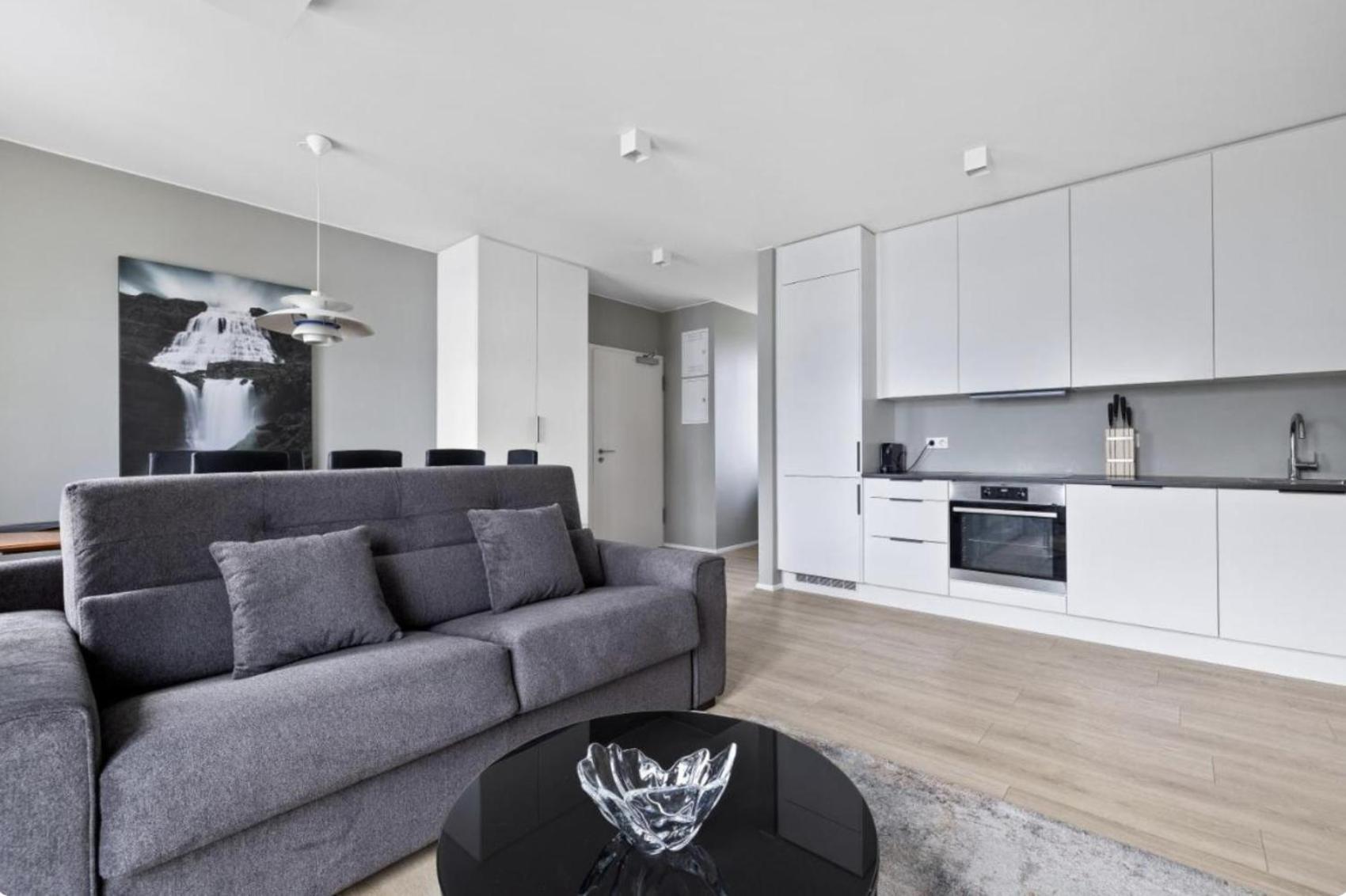Cheerful Down Town Apartment Reykjavik Bagian luar foto
